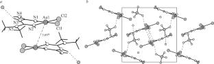 Synthesis and Structural Study of New Gold(III) Complexes with 1,1-Dimethylbiguanide