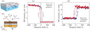 Second Harmonic Generation in Structures with Inhomogeneous Magnetization Distribution