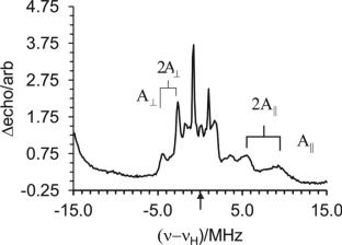 The Challenges and Opportunities of High-Spin Mn(II) EPR and ENDOR