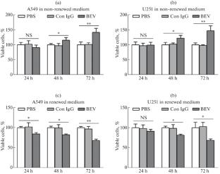 Basic Fibroblast Growth Factor Accumulation in Culture Medium Masks the Direct Antitumor Effect of Anti-VEGF Agent Bevacizumab