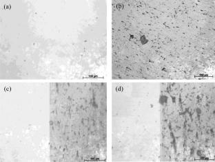 Interfacial microstructure and electrochemical behavior of diffusion welded joints of Zr-Alloy and super duplex stainless steel