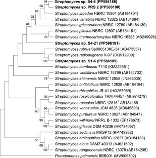 Secondary metabolite profile of Streptomyces spp. changes when grown with the sub-lethal concentration of silver nanoparticles: possible implication in novel compound discovery