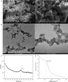 Pillar[5]arene-based thiazole NHC/Pd(II) supramolecular coordinated polymer: synthesis, structure and catalytic activity in Suzuki–Miyaura reaction