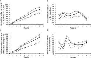 Responses of wood formation to bending: a matter of dose and sensitivity adjustments