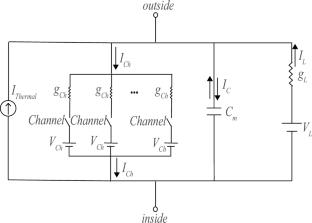 Mechanisms of stationary voltage fluctuation in the neuromuscular junction endplate and corresponding denoising paradigms