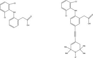 DEER Study of Spatial Arrangement of Spin-Labeled Diclofenac in Lipid Bilayers of Different Composition