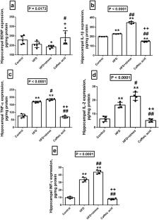 The Possible Neuroprotective Effect of Caffeic Acid on Cognitive Changes and Anxiety-Like Behavior Occurring in Young Rats Fed on High-Fat Diet and Exposed to Chronic Stress: Role of β-Catenin/GSK-3B Pathway