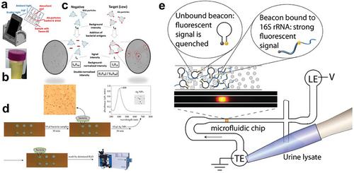 Point-of-Care Urinary Tract Infection (UTI) Diagnosis Enhanced by Nanostructured Biosensors: Review Paper