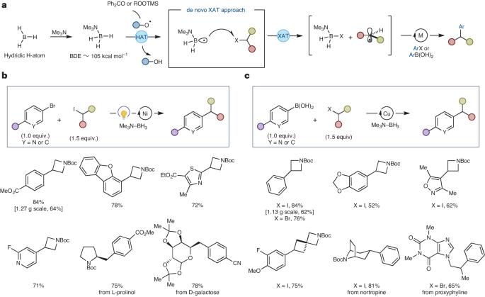 Boryl radicals facilitate C(sp2)–C(sp3) cross-coupling reactions