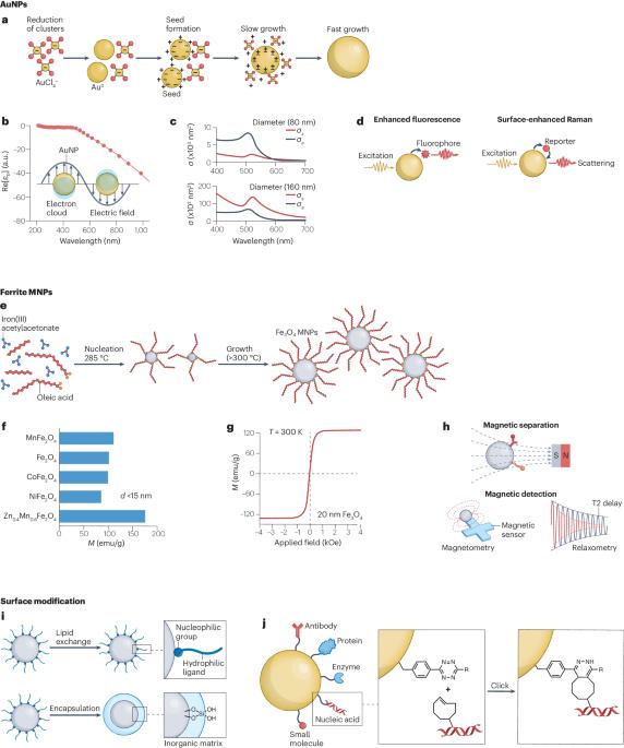 Engineered nanoparticles for clinical assays
