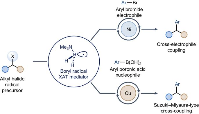 Boryl radical-mediated halogen-atom transfer enables arylation of alkyl halides with electrophilic and nucleophilic coupling partners