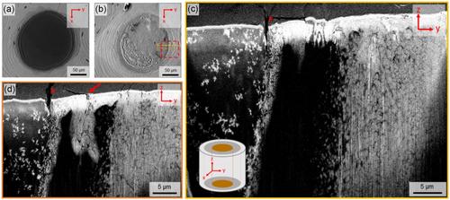 Postembedding Iodine Staining for Contrast-Enhanced 3D Imaging of Bone Tissue Using Focused Ion Beam-Scanning Electron Microscopy