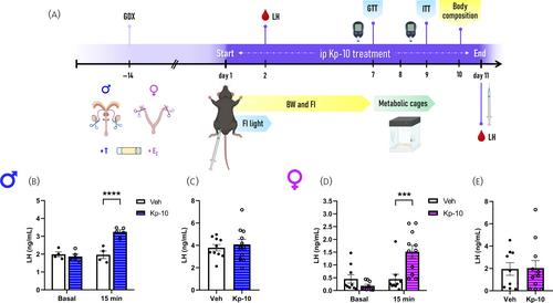 Kisspeptins centrally modulate food intake and locomotor activity in mice independently of gonadal steroids in a sexually dimorphic manner