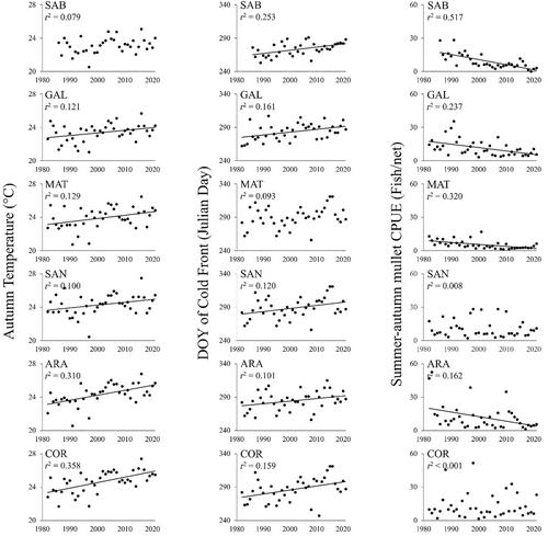 Long-term effects of climate change on juvenile bull shark migratory patterns