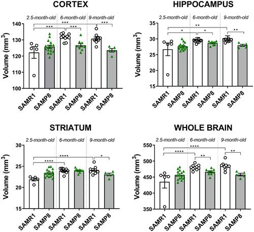 Transcriptomic and metabolomic changes might predict frailty in SAMP8 mice