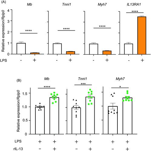 Roles of programmed death-1 and muscle innate lymphoid cell-derived interleukin 13 in sepsis-induced intensive care unit-acquired weakness