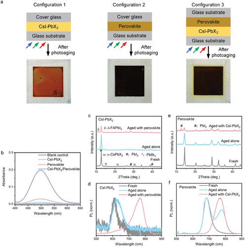 Mutual Destabilization of Wide Bandgap Perovskite and PbI2 Inclusions through Interface Carrier Trapping