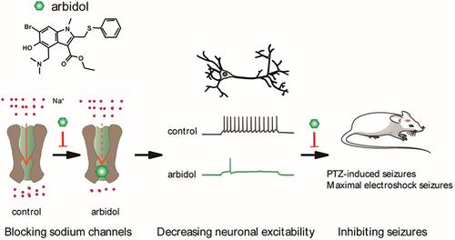 Arbidol, an antiviral drug, identified as a sodium channel blocker with anticonvulsant activity