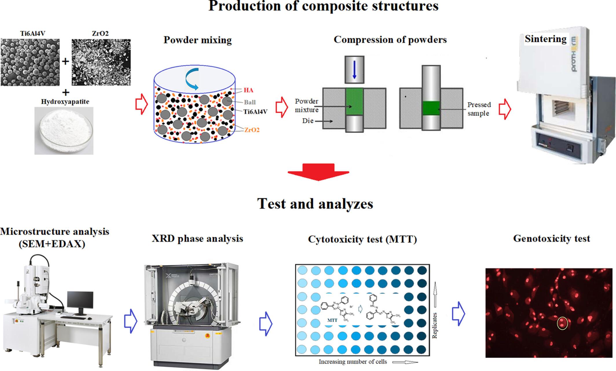 Synthesis of biocompatible Ti-6Al-4V composite reinforced with ZrO2 and bioceramic produced by powder metallurgy: Morphological, structural, and biocompatibility analysis