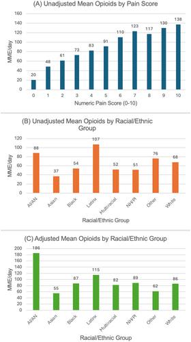 Pain management inequities by demographic and geriatric-related variables in older adult inpatients