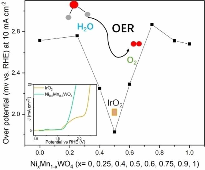 Efficient Electrocatalysts for Alkaline Oxygen Evolution Reaction from Wolframite Derived Heteroatom Materials