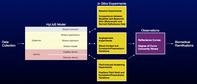 Angiogenesis-elicited spectral responses of early invasive skin melanoma: Implications for the evaluation of lesion progression