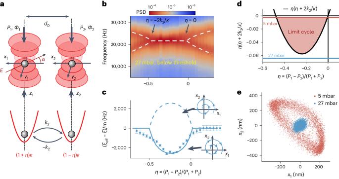 PT-like phase transition and limit cycle oscillations in non-reciprocally coupled optomechanical oscillators levitated in vacuum