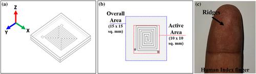 Fabrication and characterization of human finger ridge-inspired soft elastomeric pressure sensor with liquid metal-embedded microchannels