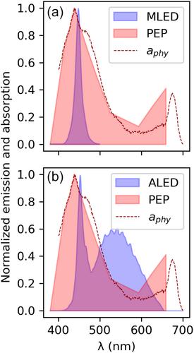 Phytoplankton primary productivity: A dual-incubation approach for direct comparison of photosystem II photosynthetic flux (JVPII) and 14C-fixation experiments