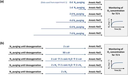 Presence of oxygen in diffusive equilibrium in thin films (DET) probes: Effect on phosphate and iron porewater profiles and advice for correct deoxygenation and handling procedures