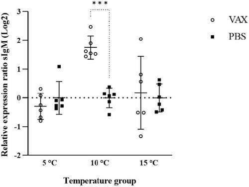 Inflammatory responses in Atlantic lumpfish (Cyclopterus lumpus L.) after intraperitoneal injection of a vaccine against Aeromonas salmonicida and Vibrio salmonicida at different water temperatures