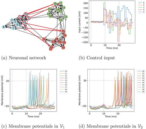 Firing pattern manipulation of neuronal networks by deep unfolding-based model predictive control