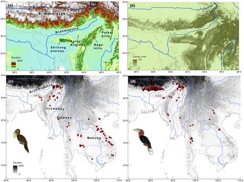 Why did the Hornbill not cross the river? Upland habitats rather than a physical barrier limit the distribution of the Brown Hornbill