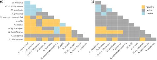 Systematic and highly resolved modelling of biodiversity in inherently rare groundwater amphipods