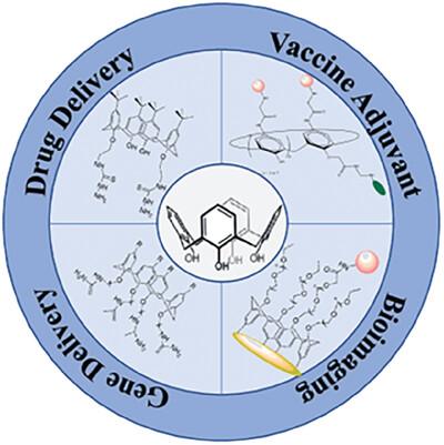 Calixarene-Guest Complexes: The Next Innovation in Delivery of Drugs and Biologics