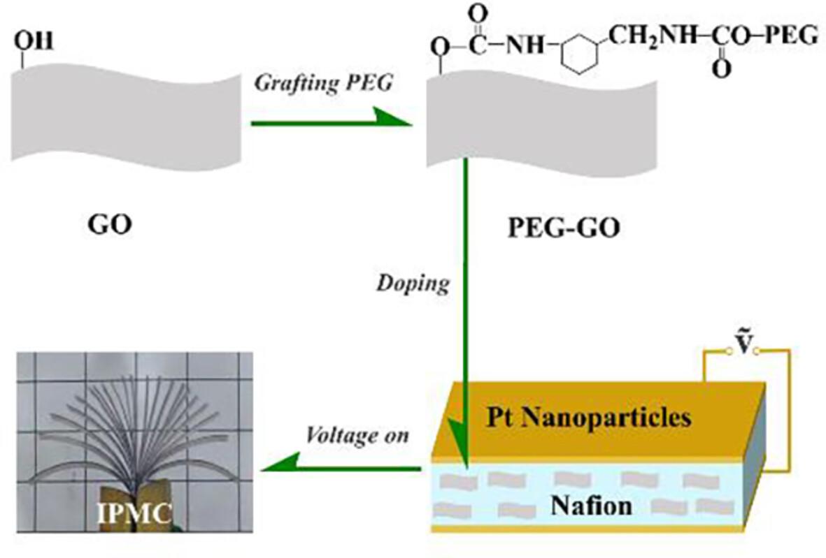 Enhanced electromechanical performance of Nafion actuator doped by poly(ethylene glycol)-grafted graphene oxide