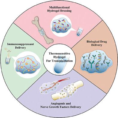 Thermosensitive Hydrogels as Targeted and Controlled Drug Delivery Systems: Potential Applications in Transplantation