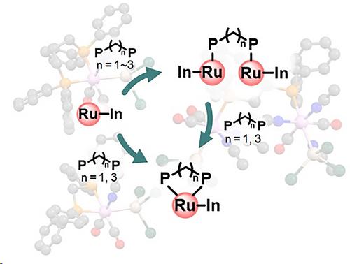 Synthesis, Structure, and Reactivity of Ruthenium-Indane Complexes with Diphosphine Ligand