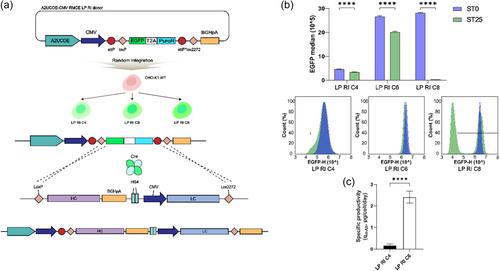 Revisiting the impact of genomic hot spots: C12orf35 locus as a hot spot and engineering target