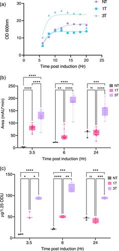 Optimizing the production of dsRNA biocontrols in microbial systems using multiple transcriptional terminators