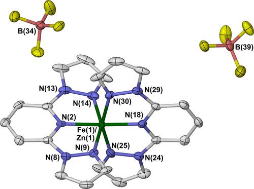 Structural Consequences of Different Metal Compositions in the Doped Spin-Crossover Crystals [FezM1−z(bpp)2][BF4]2 (M=Ni, Zn; bpp=2,6-Bis{Pyrazol-1-yl}Pyridine)