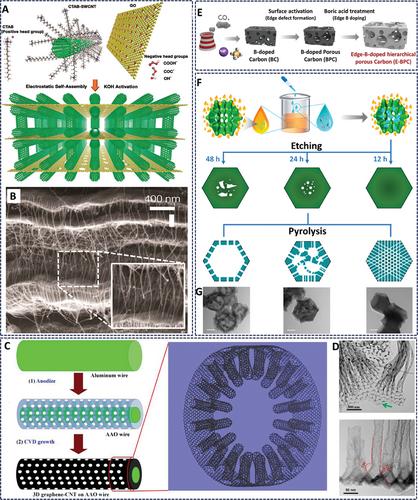 Recent Advances on Carbon-Based Metal-Free Electrocatalysts for Energy and Chemical Conversions