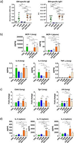 Airway Exposure to House Dust Mite Promotes the Development of Allergy to Egg White in Mice