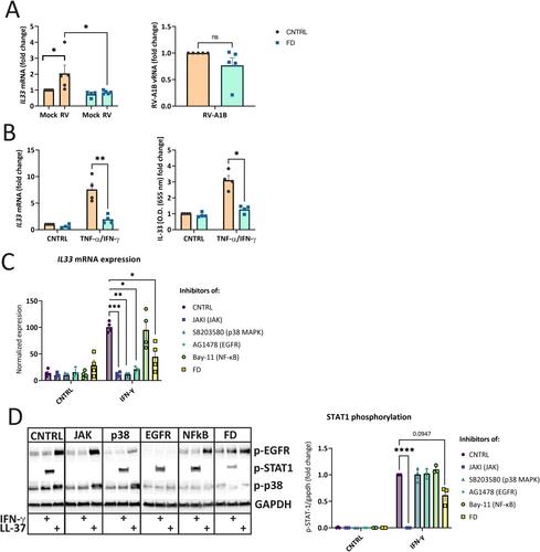 Farm Dust Exposure Reduces Cytokine- and Rhinovirus-Induced IL-33 Expression in Bronchial Epithelial Cells