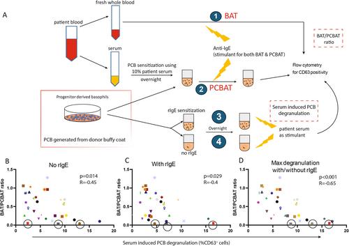 Basophil Activating Factors in the Serum May Underlie the ‘Nonreleaser’ Basophil Status in the Basophil Activation Test