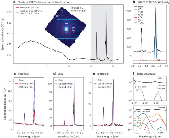 Heterogeneous outgassing regions identified on active centaur 29P/Schwassmann–Wachmann 1