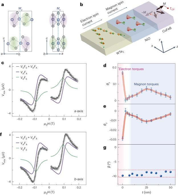 Deterministic switching of perpendicular magnetization by out-of-plane anti-damping magnon torques