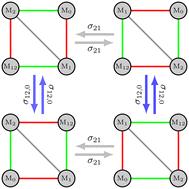 The graph automorphism group of the dissociation microequilibrium of polyprotic acids