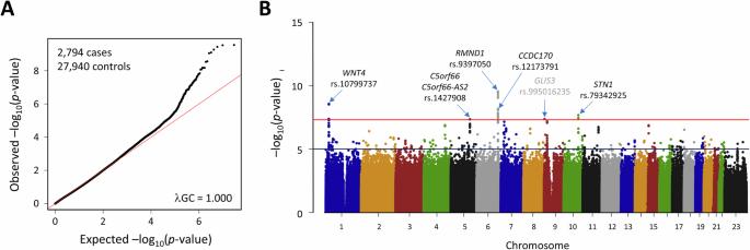 Ethnic-specific genetic susceptibility loci for endometriosis in Taiwanese-Han population: a genome-wide association study