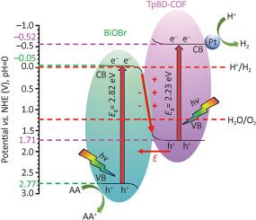 Engineering BiOBr/TpBD-COF S-scheme heterointerface via phase transformation strategy for boosted photocatalytic hydrogen generation